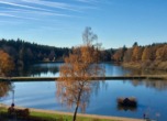 Aussicht zum Kurpark - Appartement in Hahnenklee