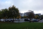 Aussicht - Appartement im Ferienpark Hahnenklee