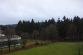 Ausblick vom Balkon - Appartement im Ferienpark Hahnenklee