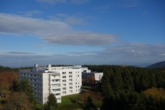 Haus 2 Ansicht Südseite - Appartement im Ferienpark Hahnenklee