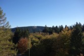 Ausblick vom Balkon - Appartement im Ferienpark Hahnenklee